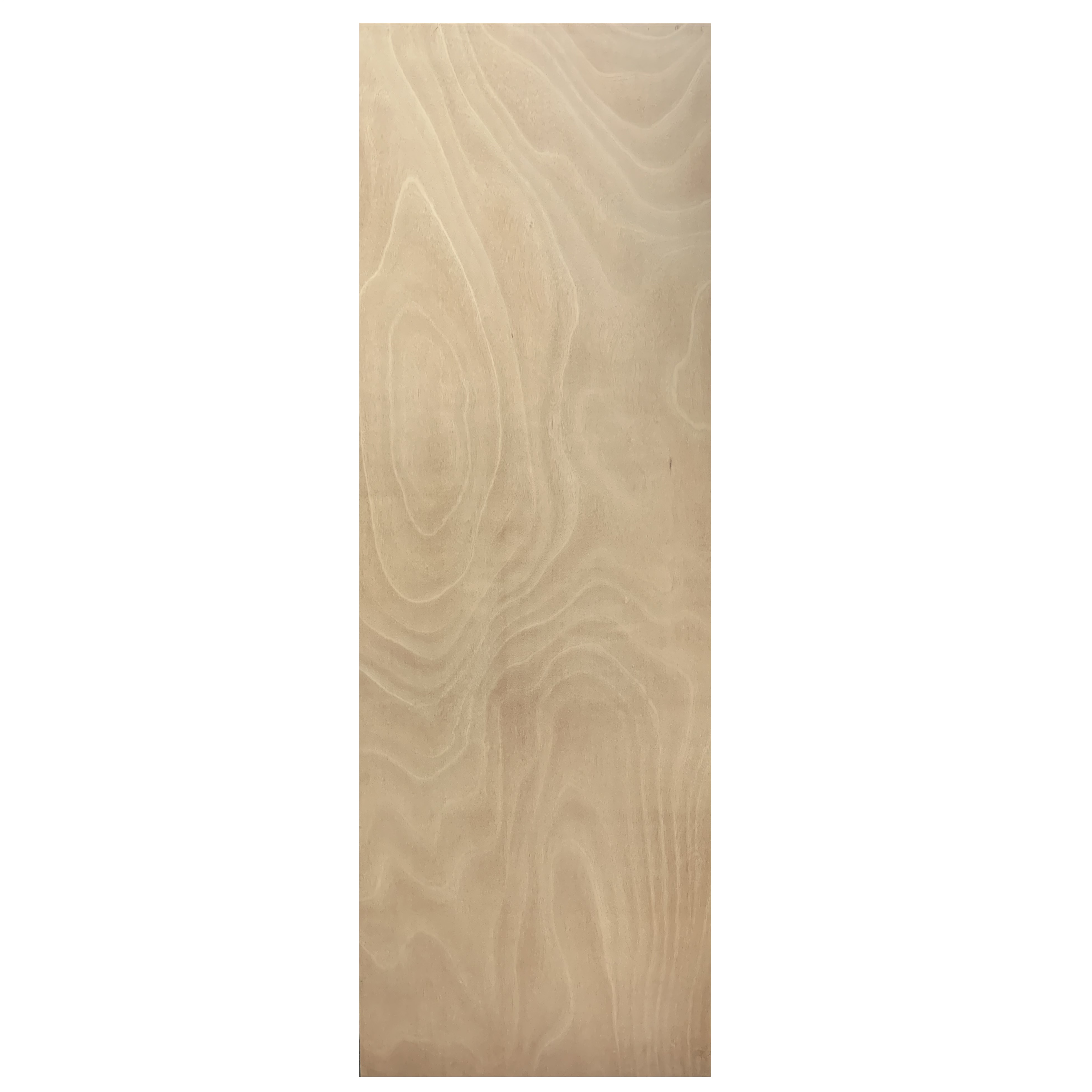MAHOGANY DOOR SLAB.jpg